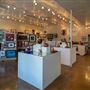 Spider Gallery
