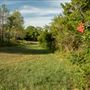 Cleora Nature Walk (Outdoor Classroom)