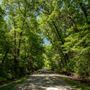 E 176th St N Road View