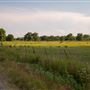 N Lewis Ave/E 66th St N (South View)