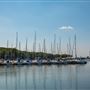 Redbud Bay Marina
