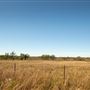 North South Road Field View 2