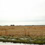 Field E 1050 Rd