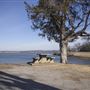 Wahoo Bay Recreation Area