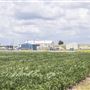 Farming Operation N 4000 Rd