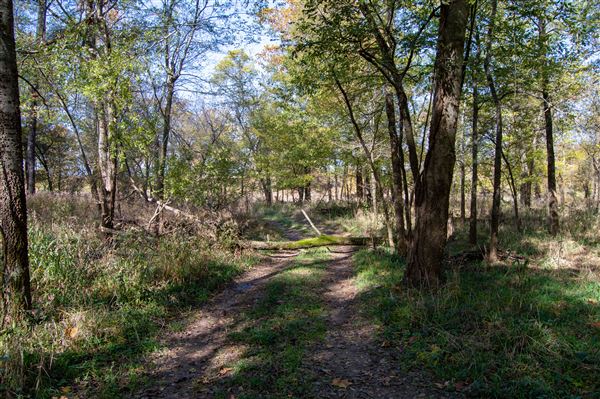 Cherokee Nation Scout Ranch (11/12/2021)